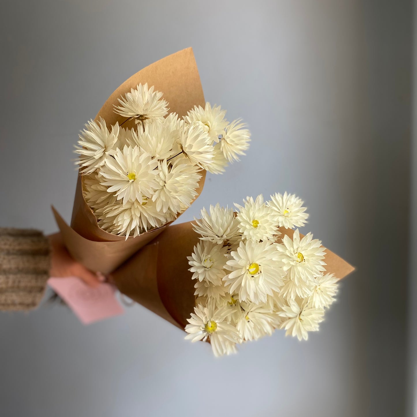 Splendid Everlasting Daisy Bouquet