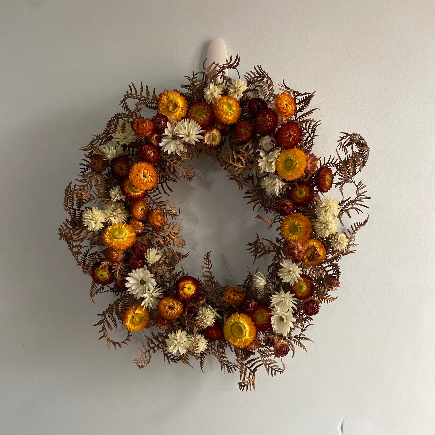 Everlasting Daisy Wreath - Medium - Red, Gold and White