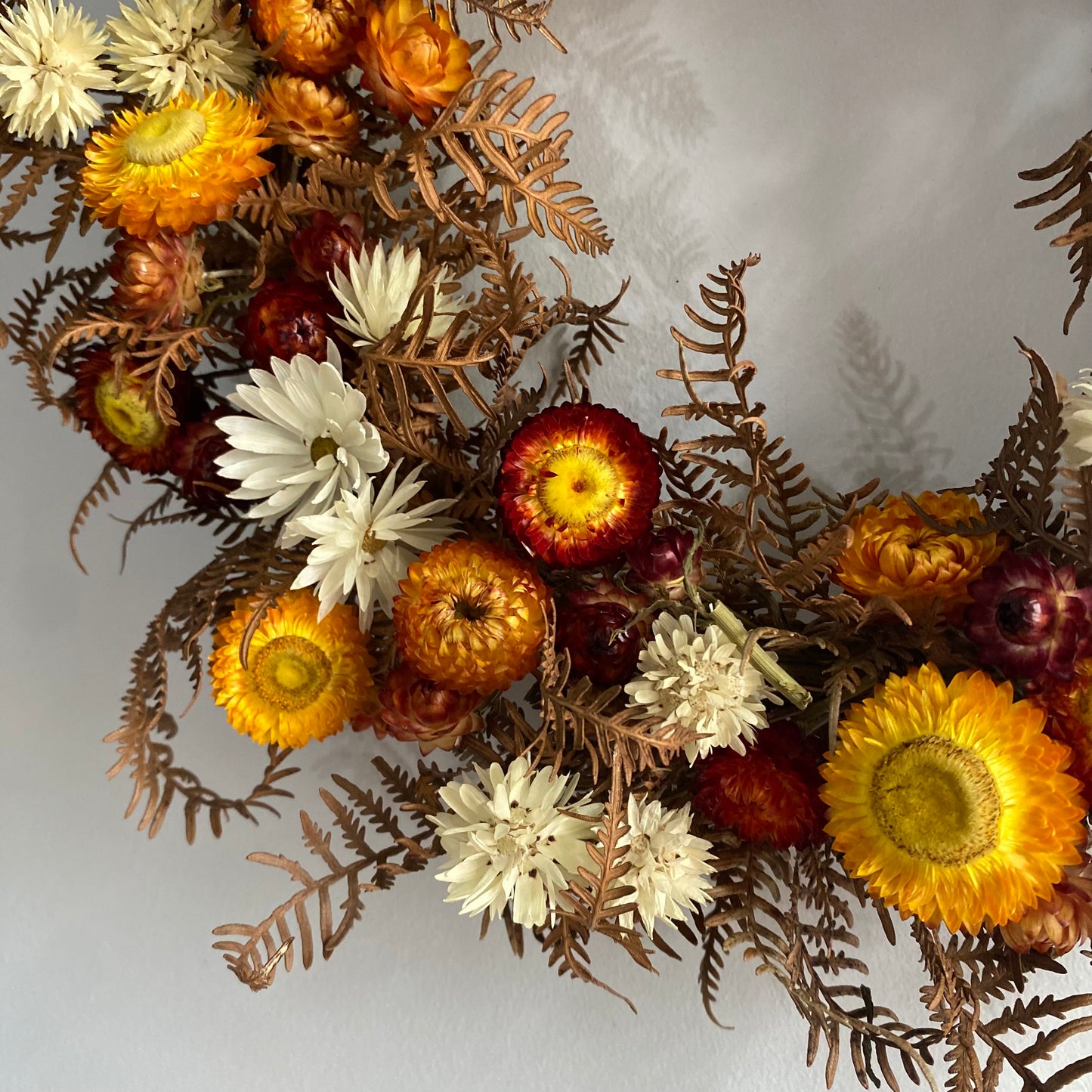 Everlasting Daisy Wreath - Dried Australian Wildflower Wreath -  Medium - Red, Gold and White