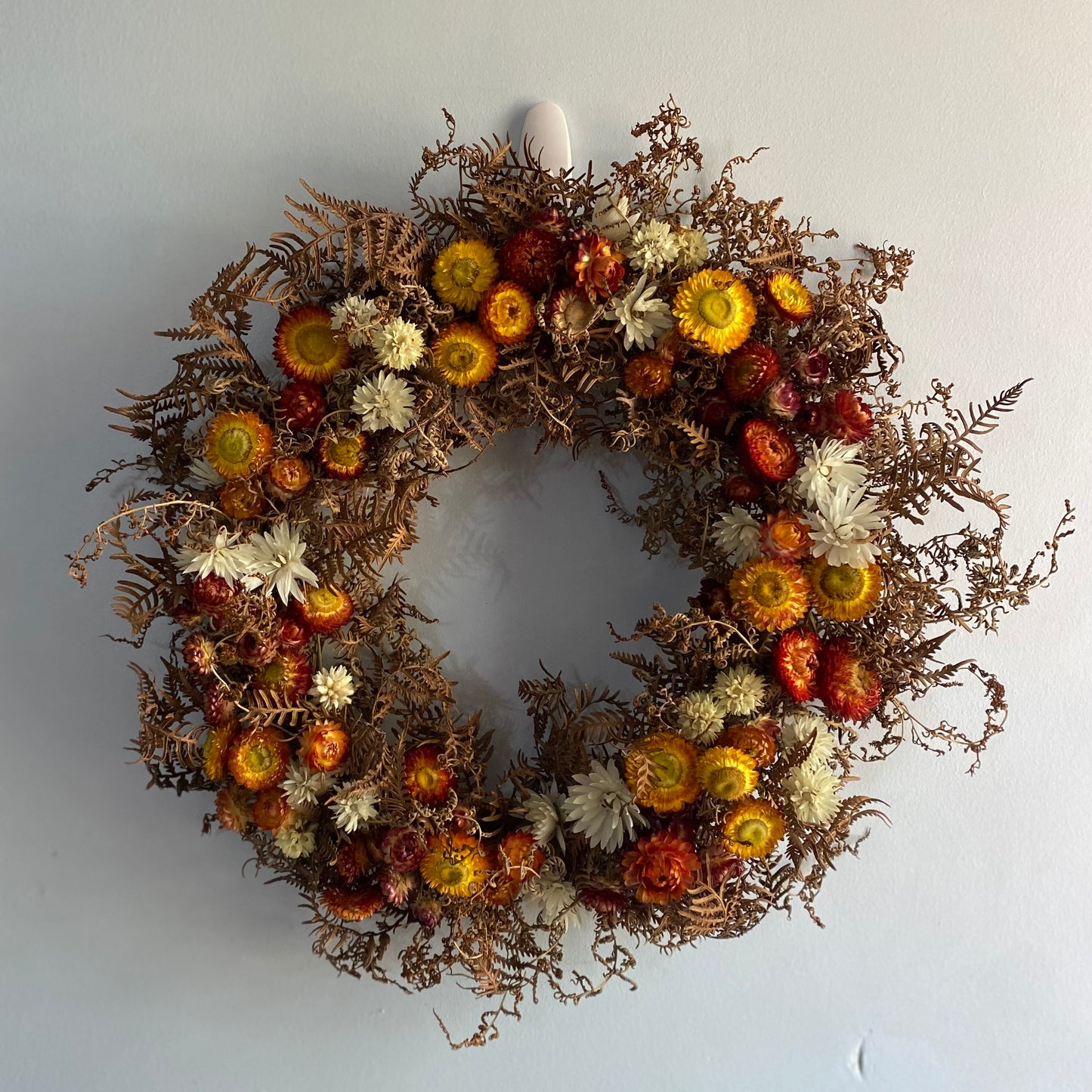 Everlasting Daisy Wreath - Medium - Red, Gold and White