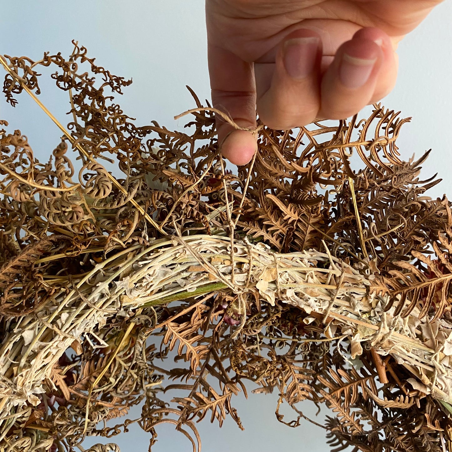 Everlasting Daisy Wreath: Dried Australian Wildflower Wreath - Medium - Pinks