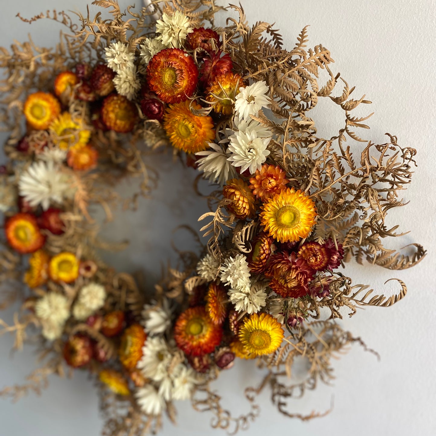 Everlasting Daisy Wreath - Medium - Red, Gold and White