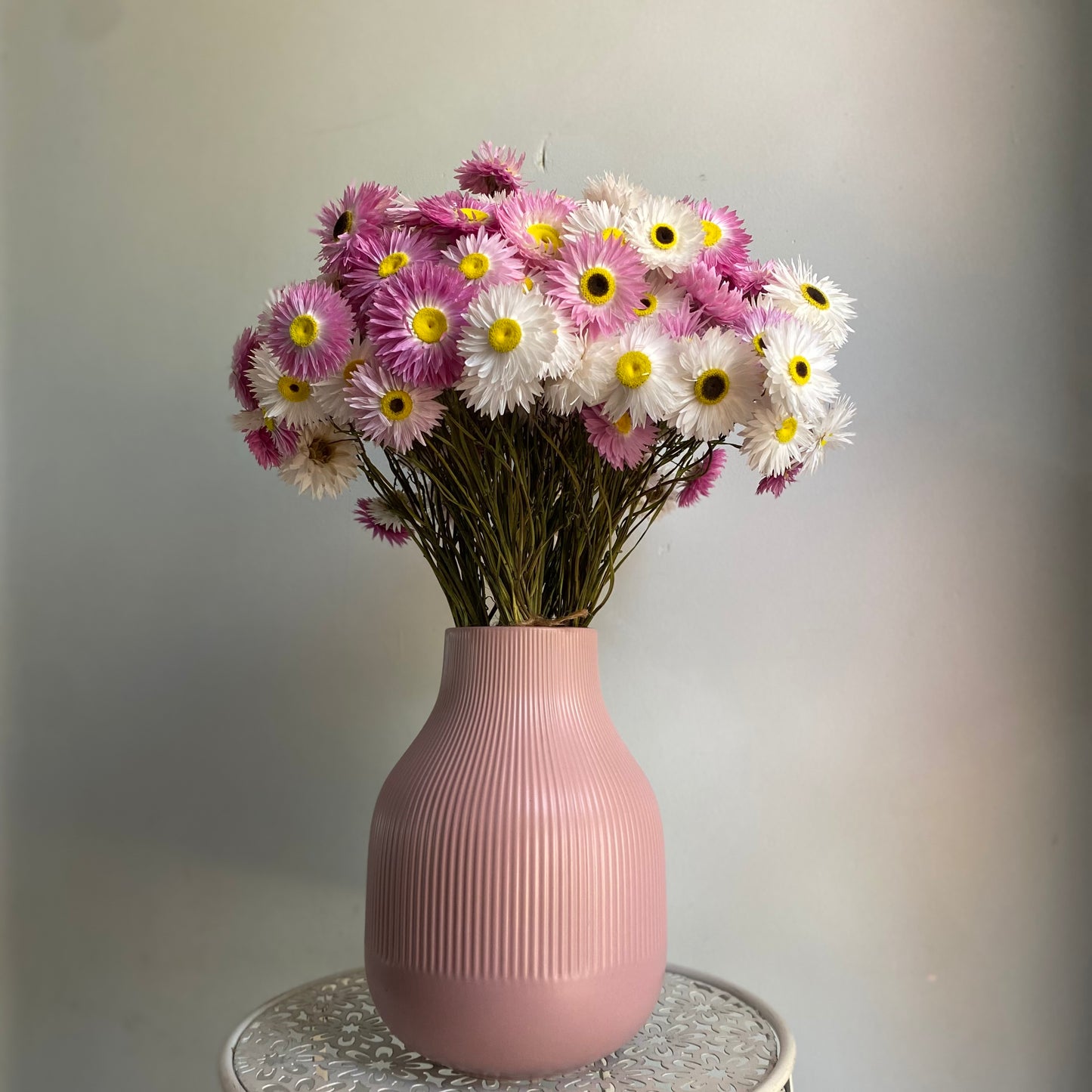 Pink and White Everlasting Daisy Bouquet