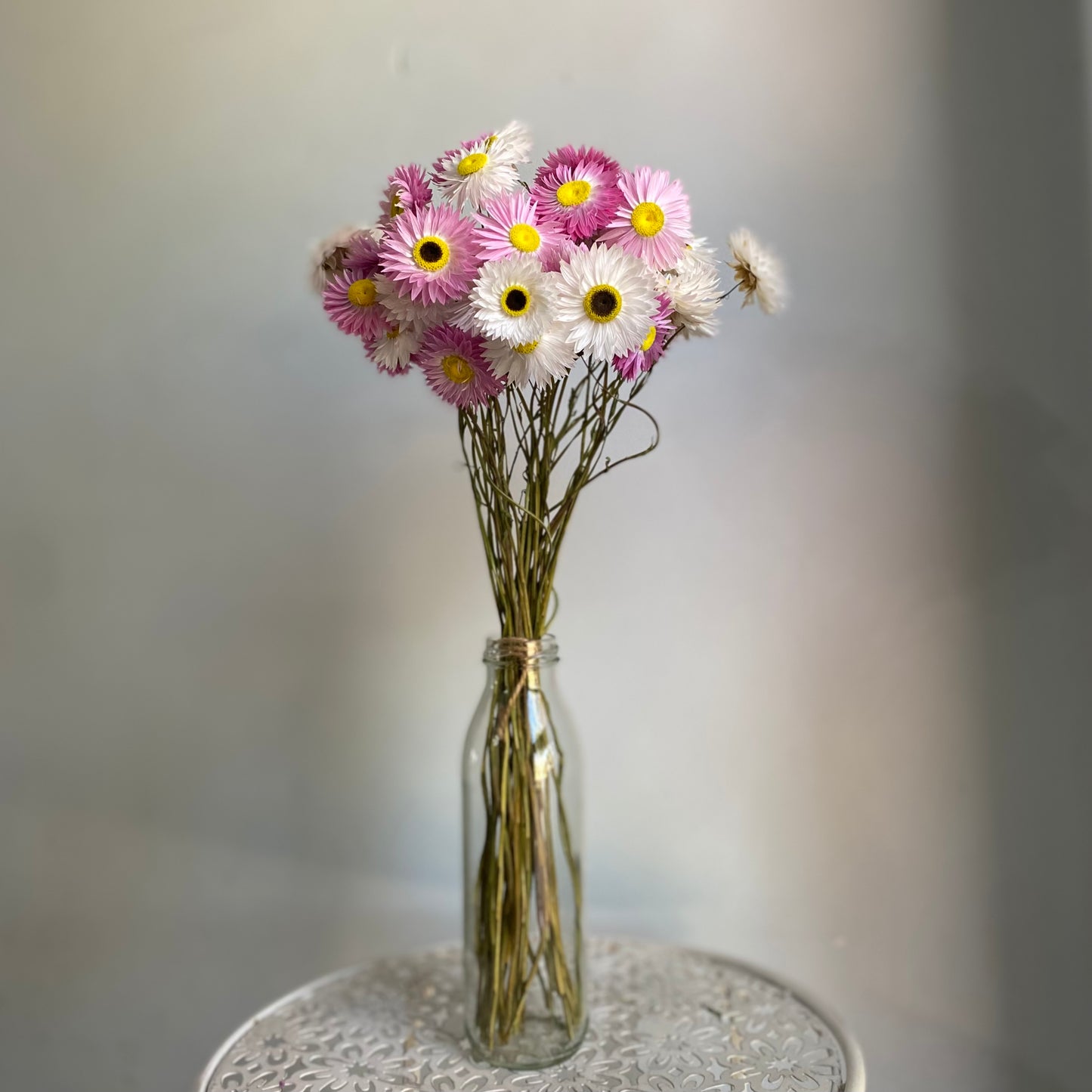 Pink and White Everlasting Daisy Bouquet