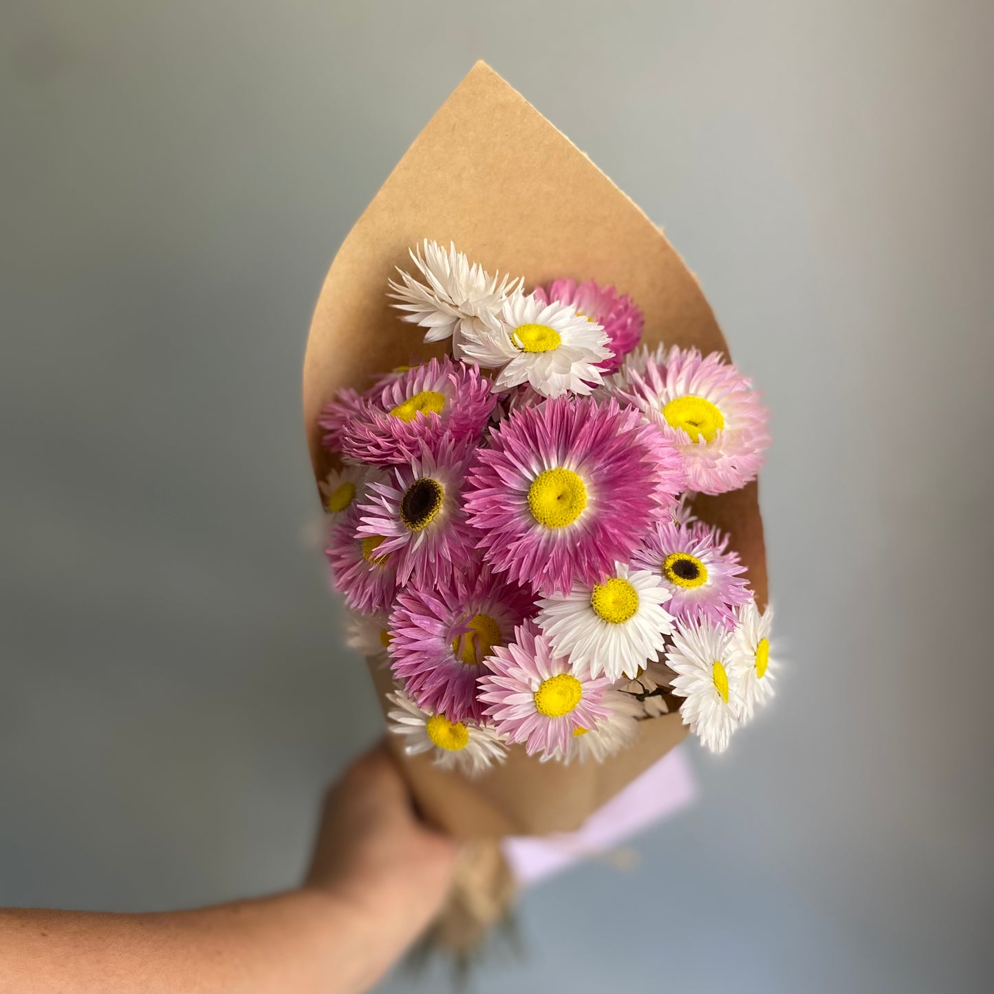 Pink and White Everlasting Daisy Bouquet