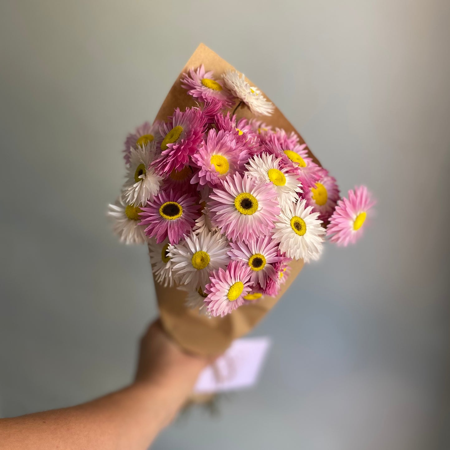 Pink and White Everlasting Daisy Bouquet
