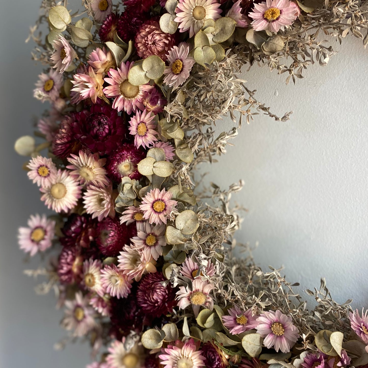Everlasting Daisy Wreath: Dried Australian Wildflower Wreath - Medium - Pinks