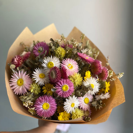 Everlasting Daisy Bouquet - Medium - Vibrant and Colourful