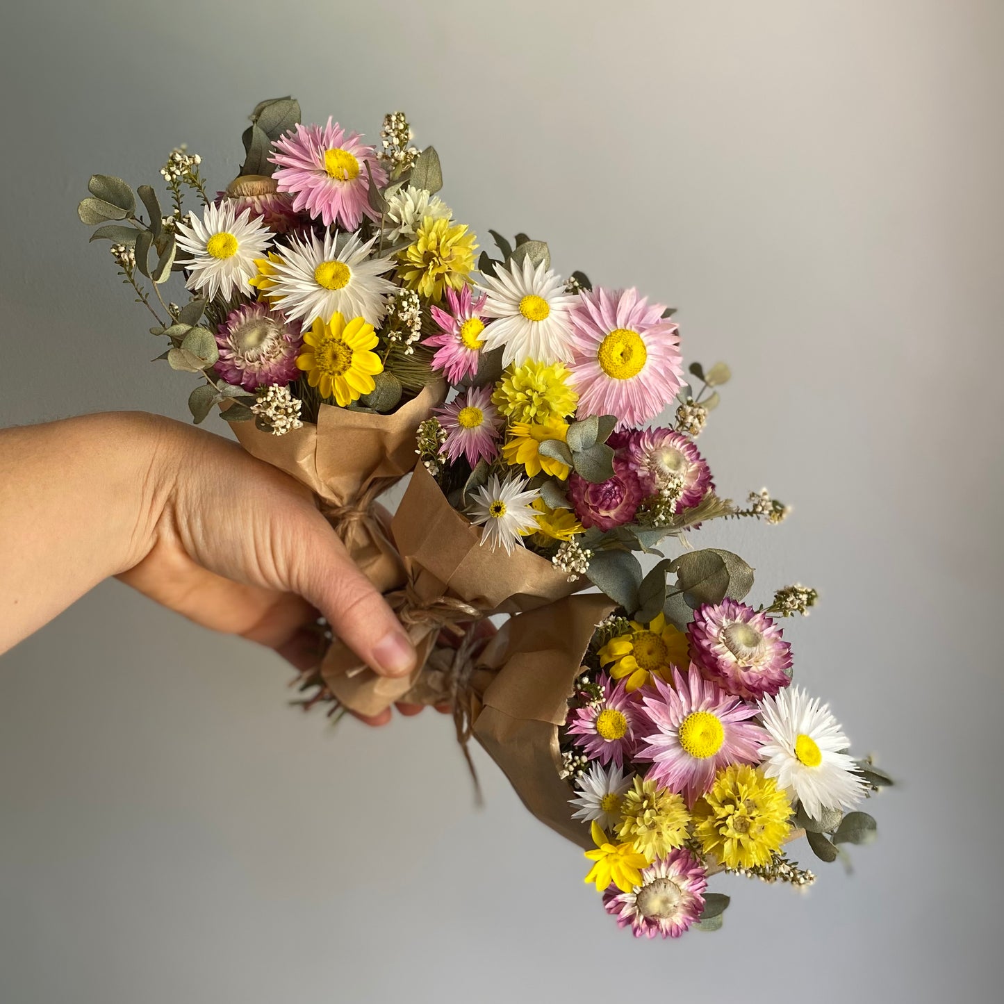Everlasting Daisy Bouquets - Mini - Vibrant & Colourful