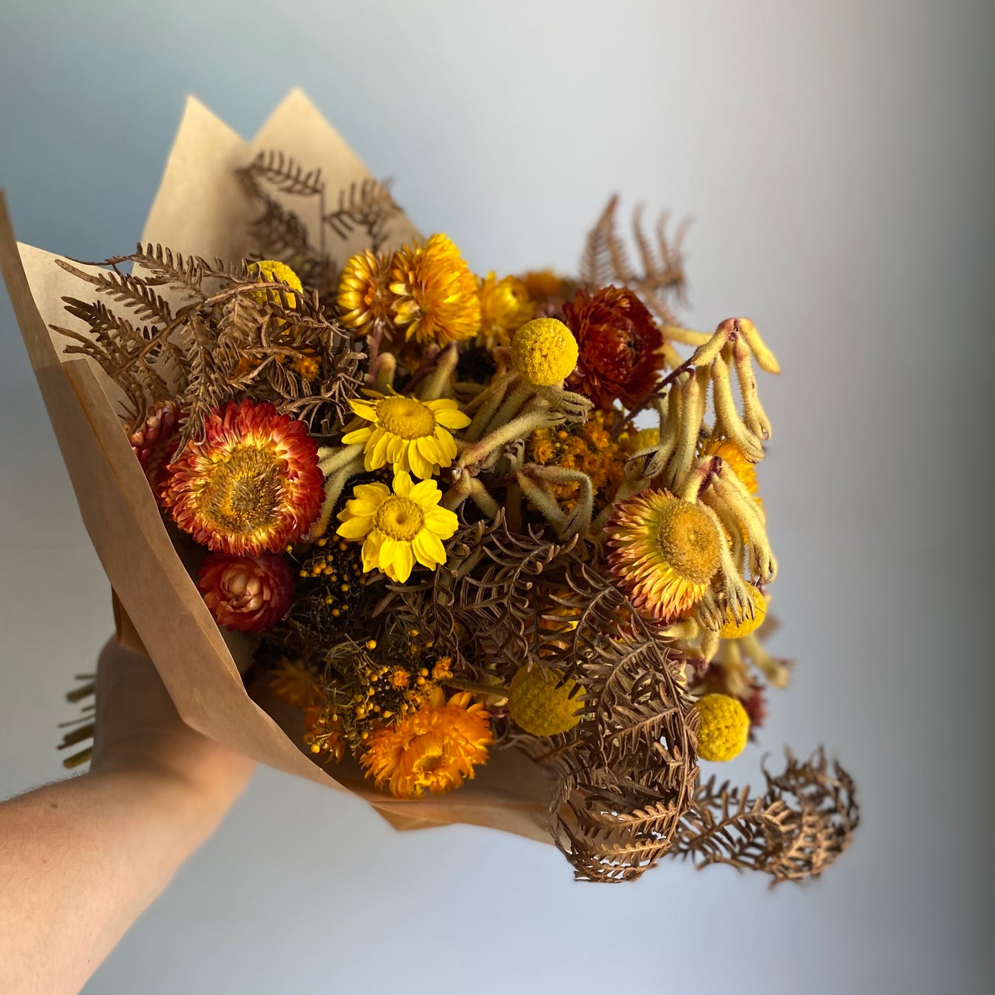 Everlasting Daisy Florist - Small - Warm & Earthy