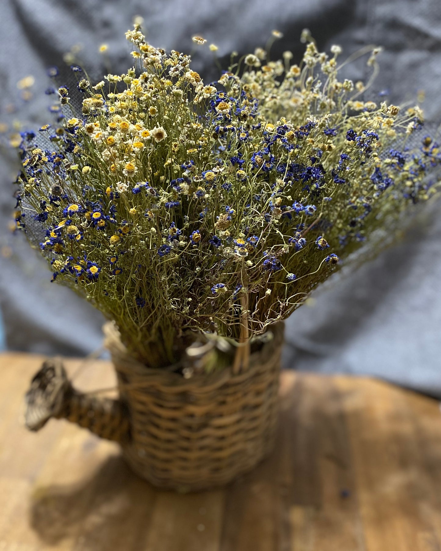 Swan River Daisy Bouquet