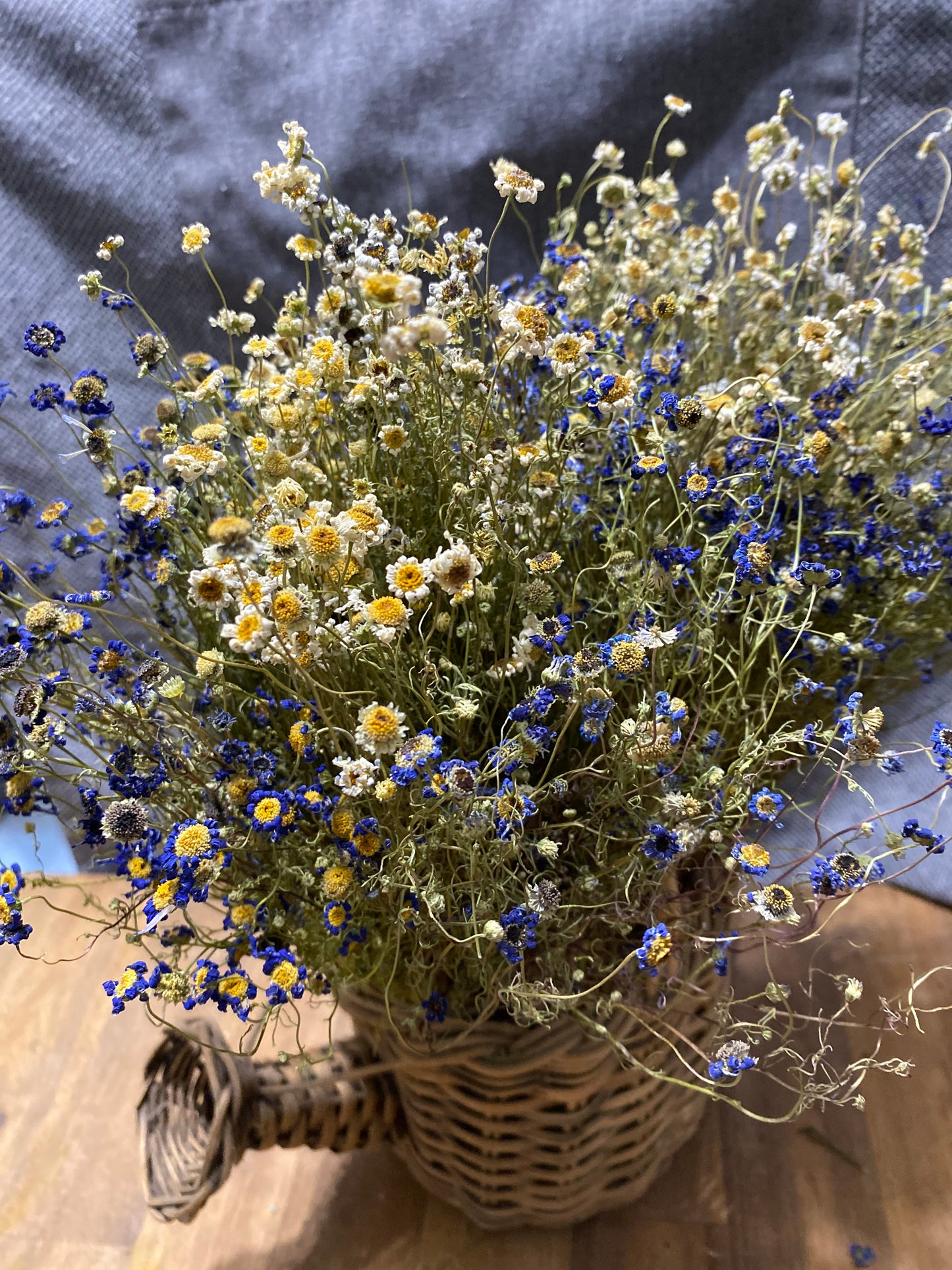 Swan River Daisy Bouquet