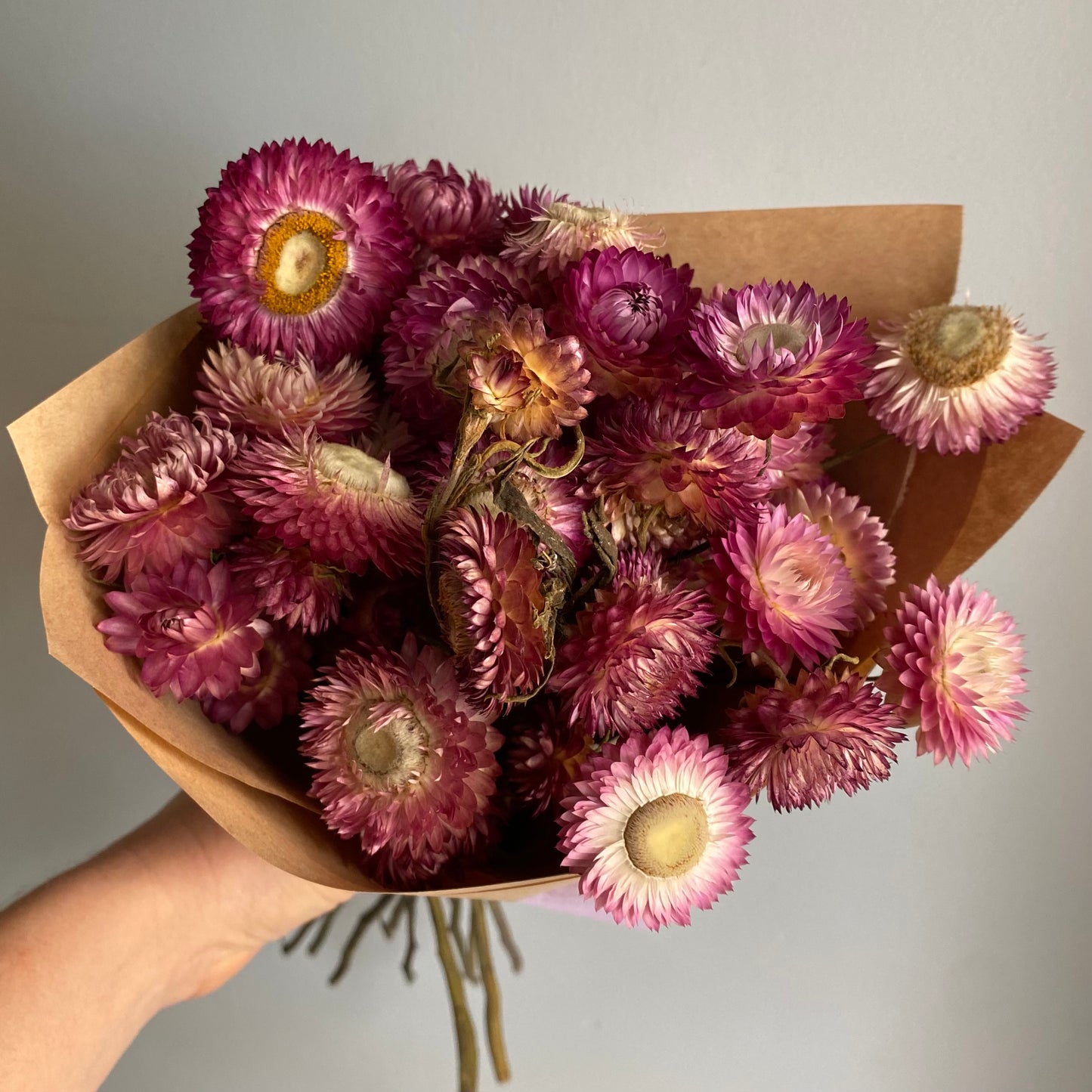 Pink Strawflower Bouquet