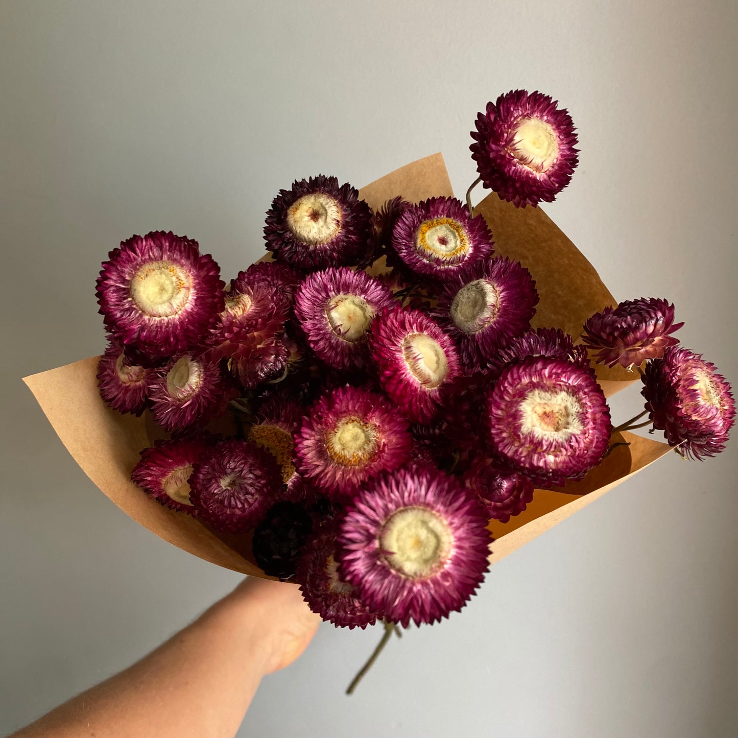 Deep Magenta Strawflower Bouquet