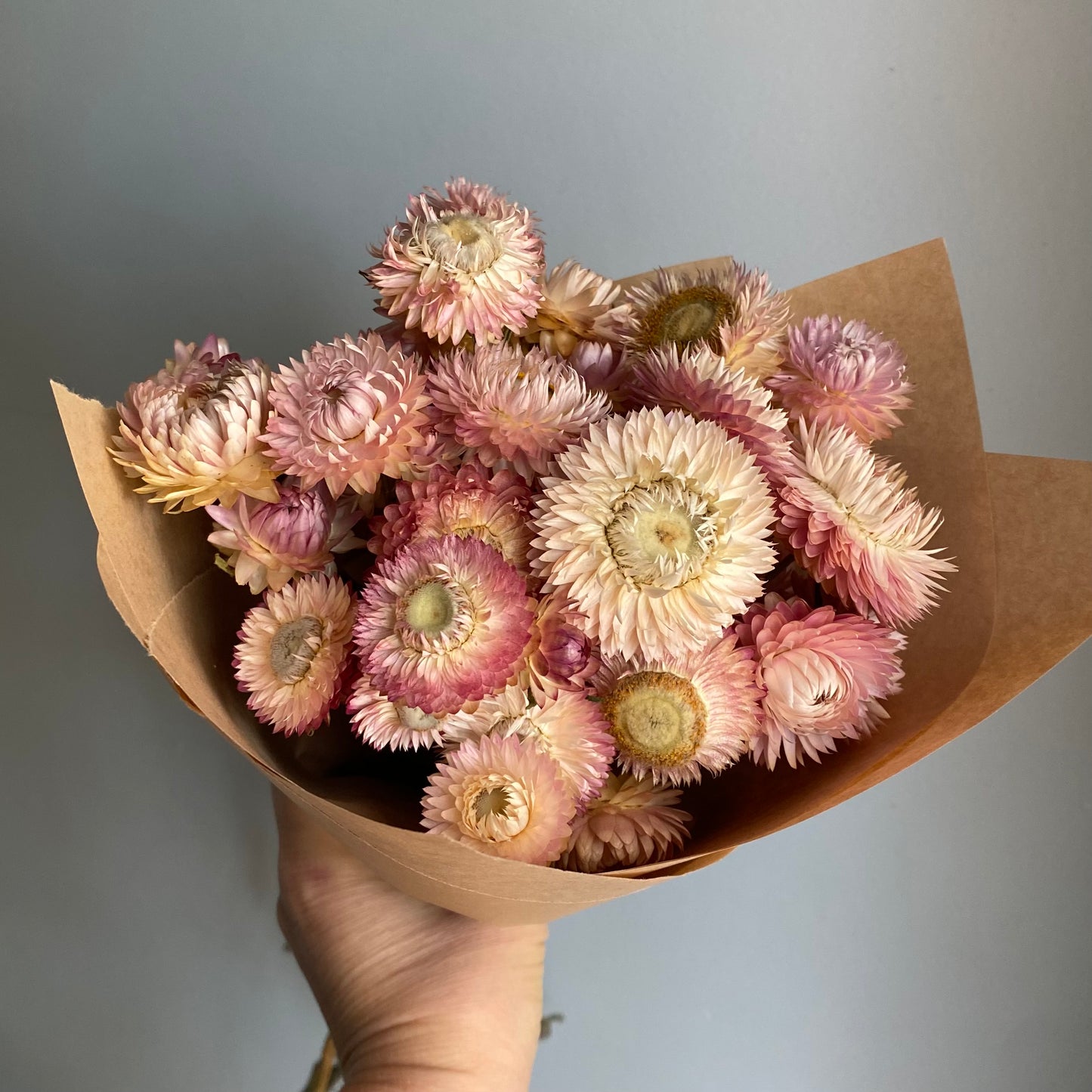 Silvery Rose Strawflower Bouquet