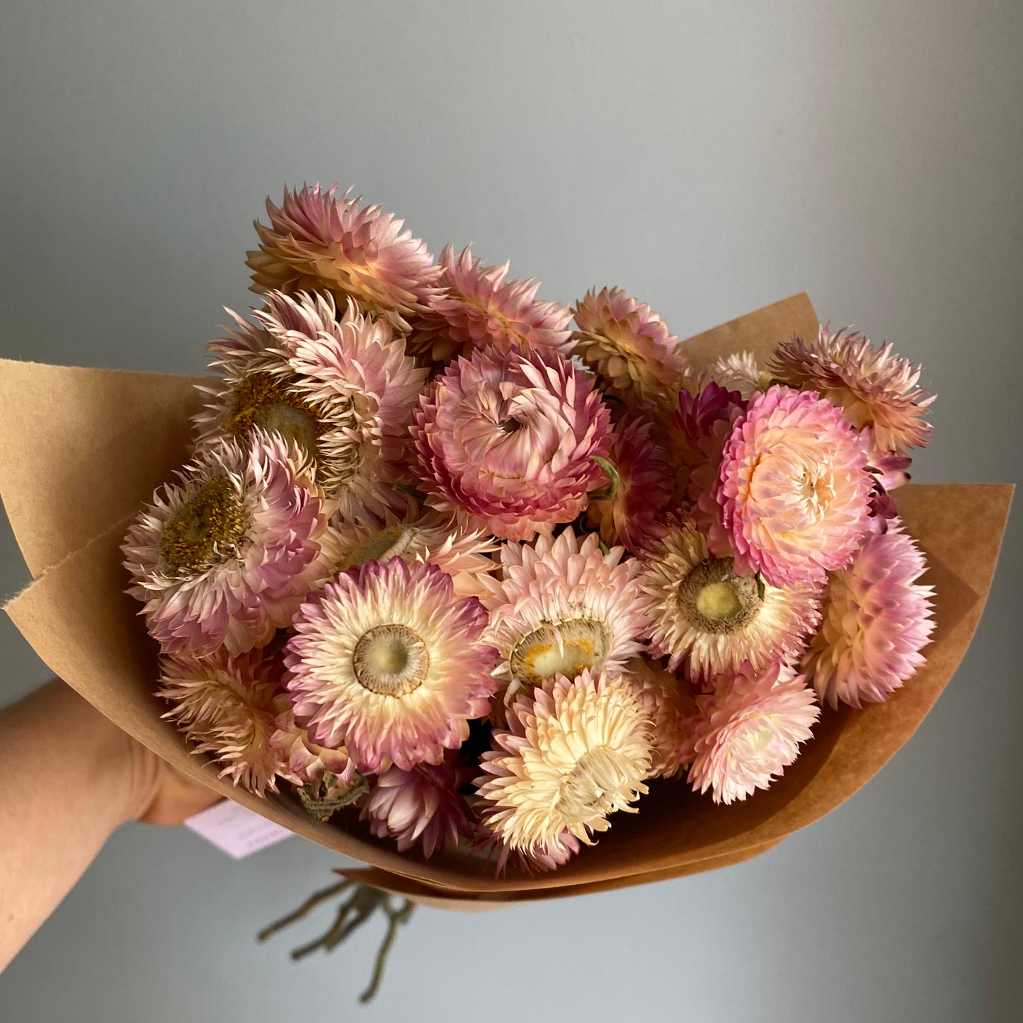 Silvery Rose Strawflower Bouquet