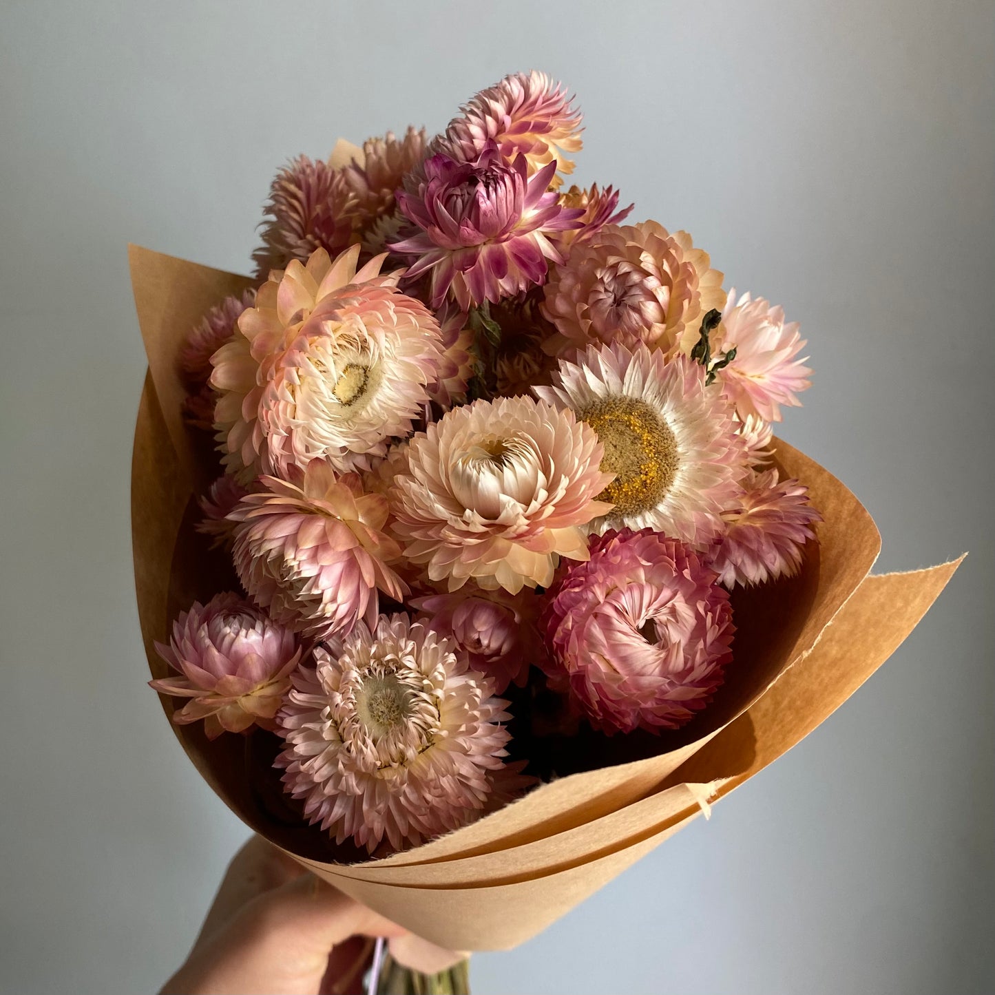 Silvery Rose Strawflower Bouquet