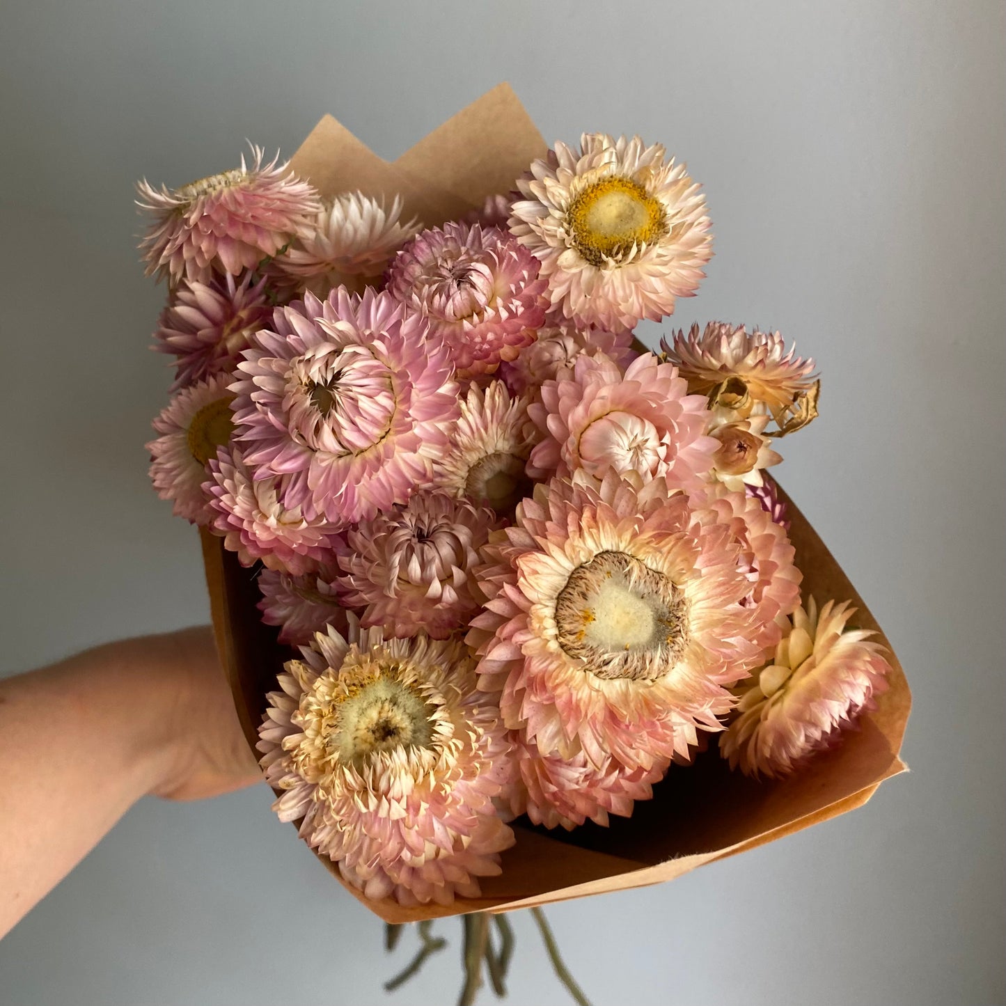 Silvery Rose Strawflower Bouquet