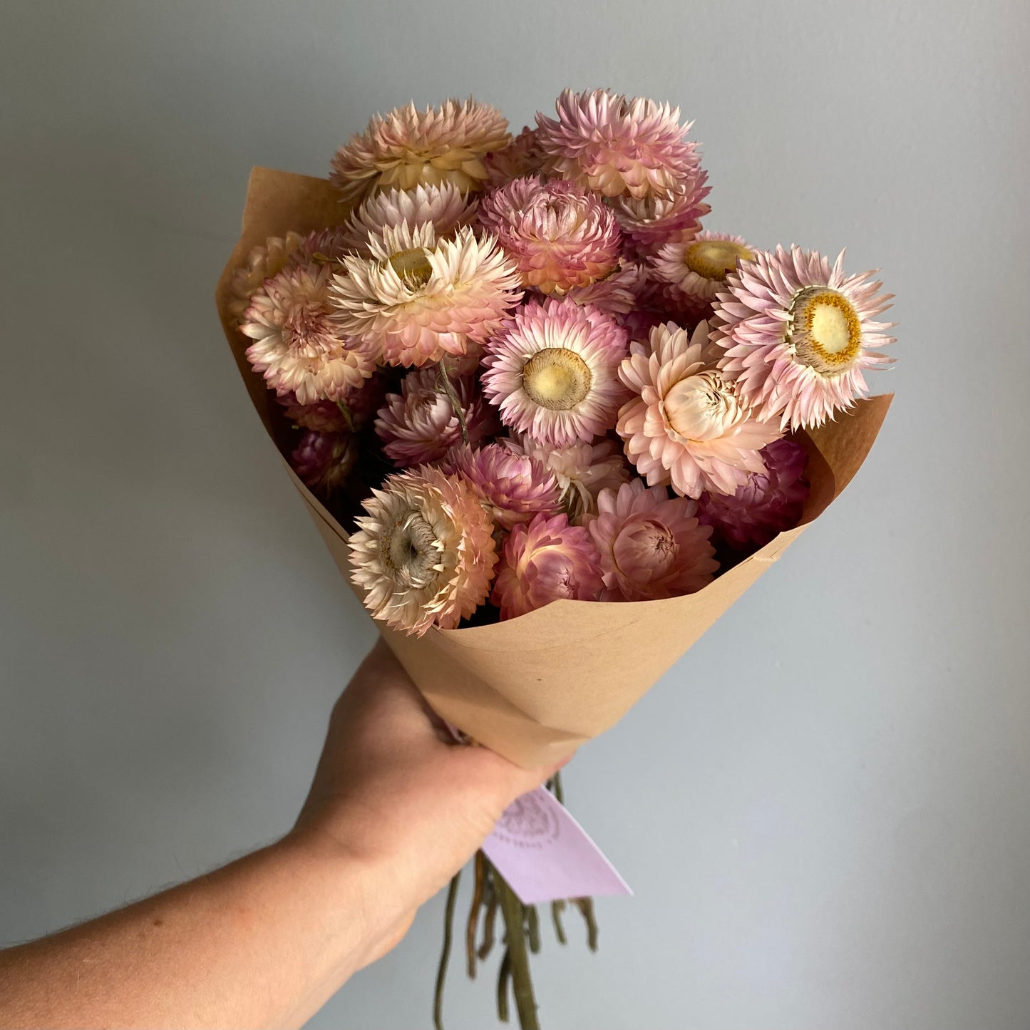 Silvery Rose Strawflower Bouquet