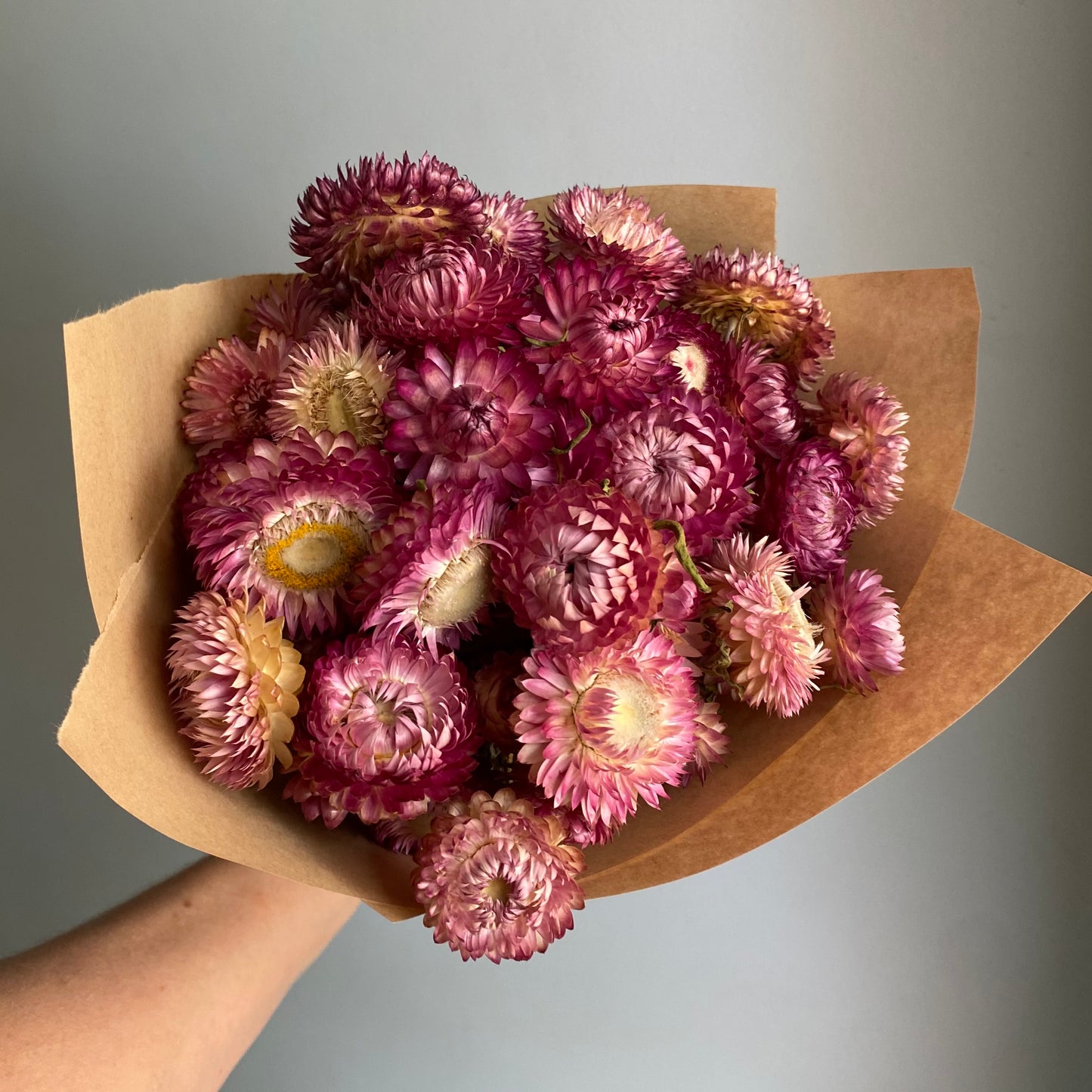 Pink Strawflower Bouquet