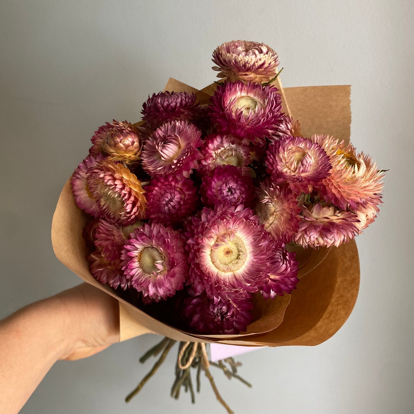Pink Strawflower Bouquet