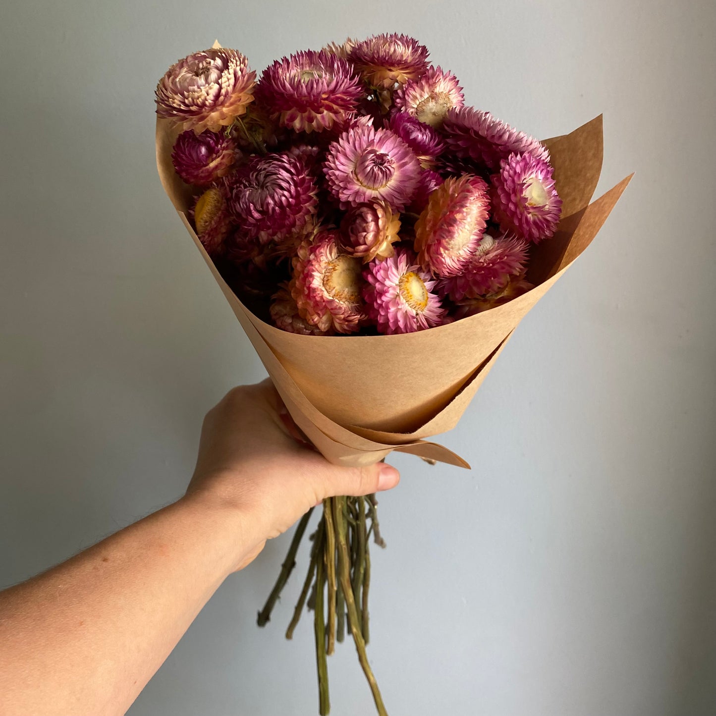 Pink Strawflower Bouquet