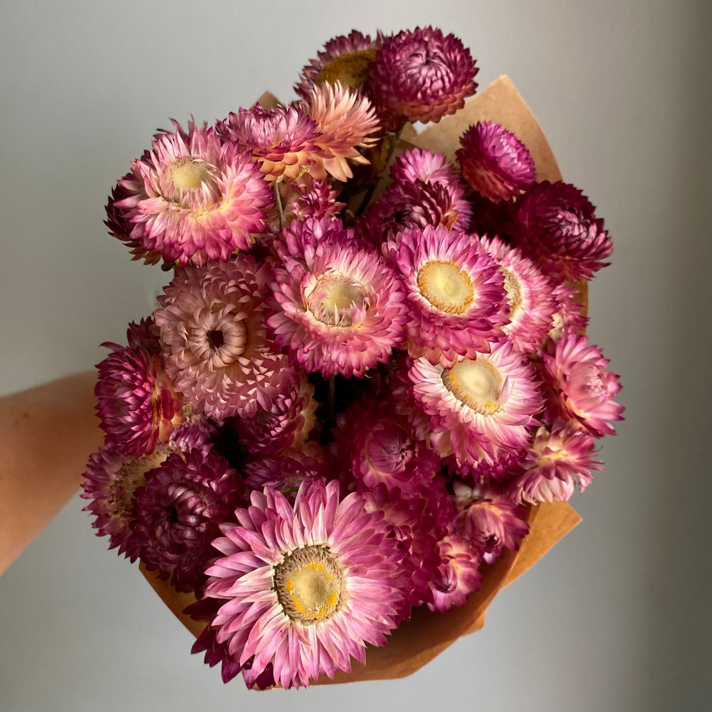 Pink Strawflower Bouquet