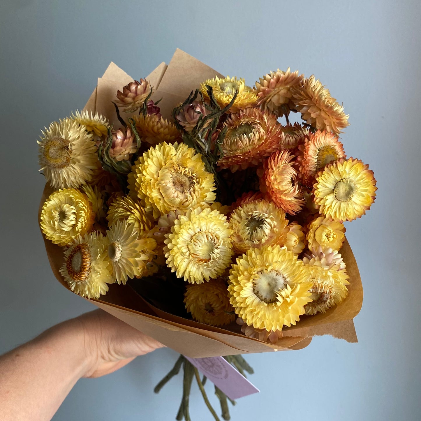 Warm Pastel Strawflower Bouquet