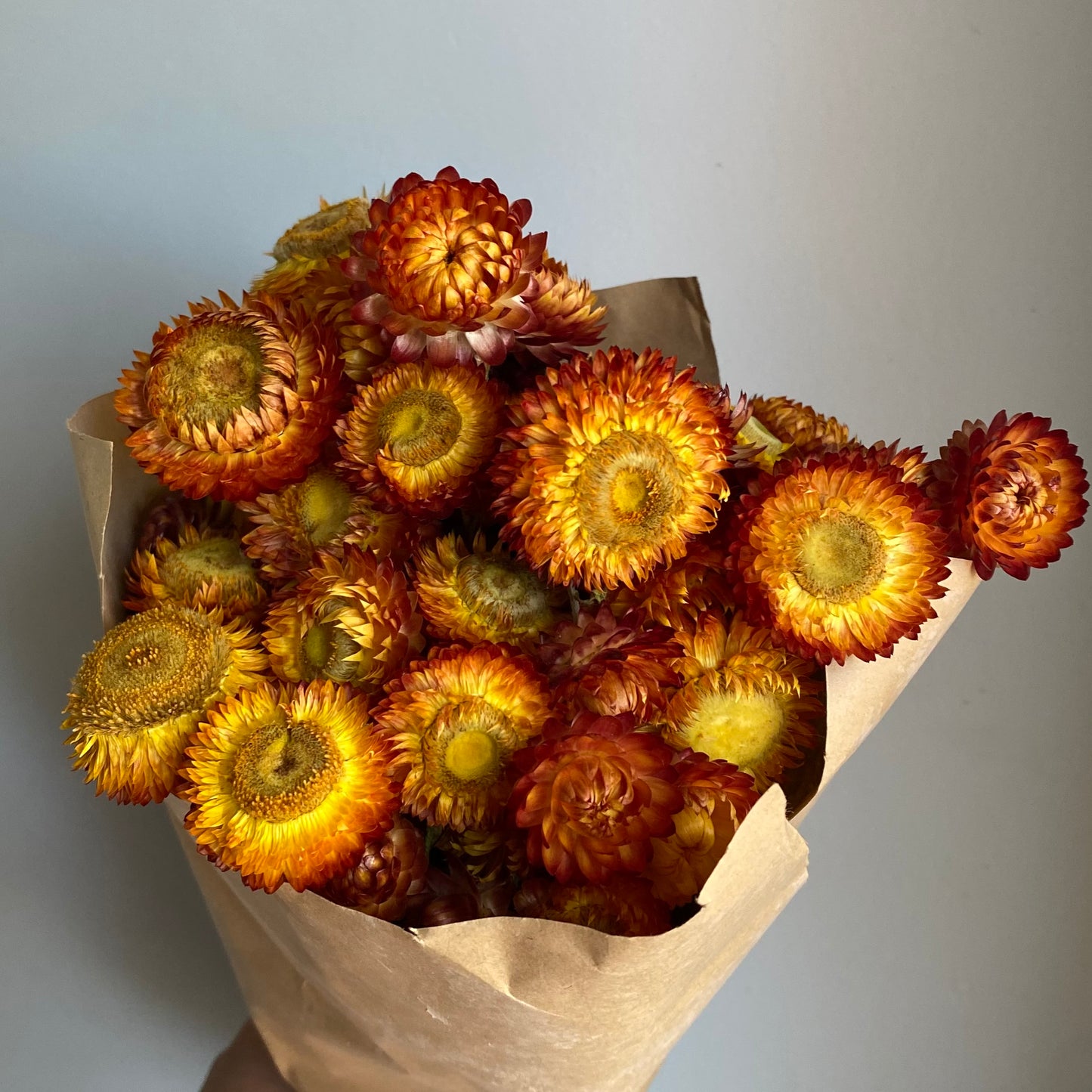 Sunset Strawflower Bouquet