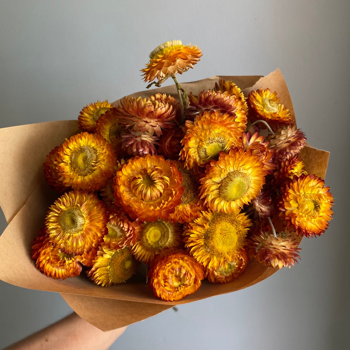 Sunset Strawflower Bouquet