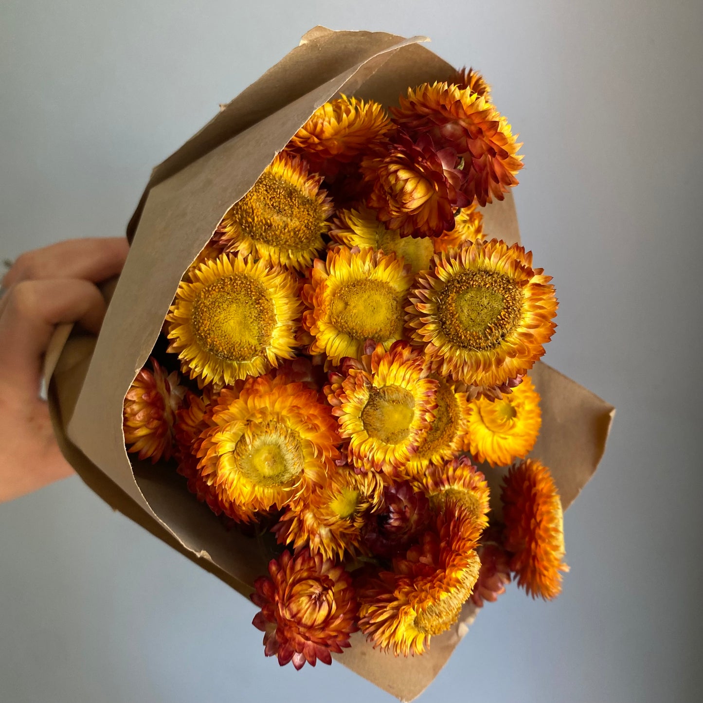 Sunset Strawflower Bouquet