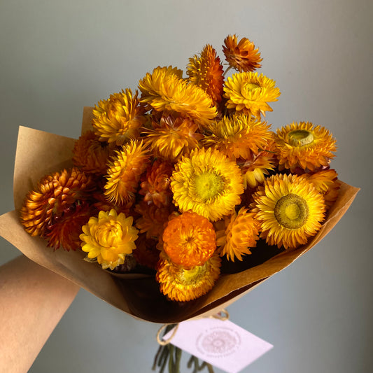 Golden Yellow Strawflower Bouquet