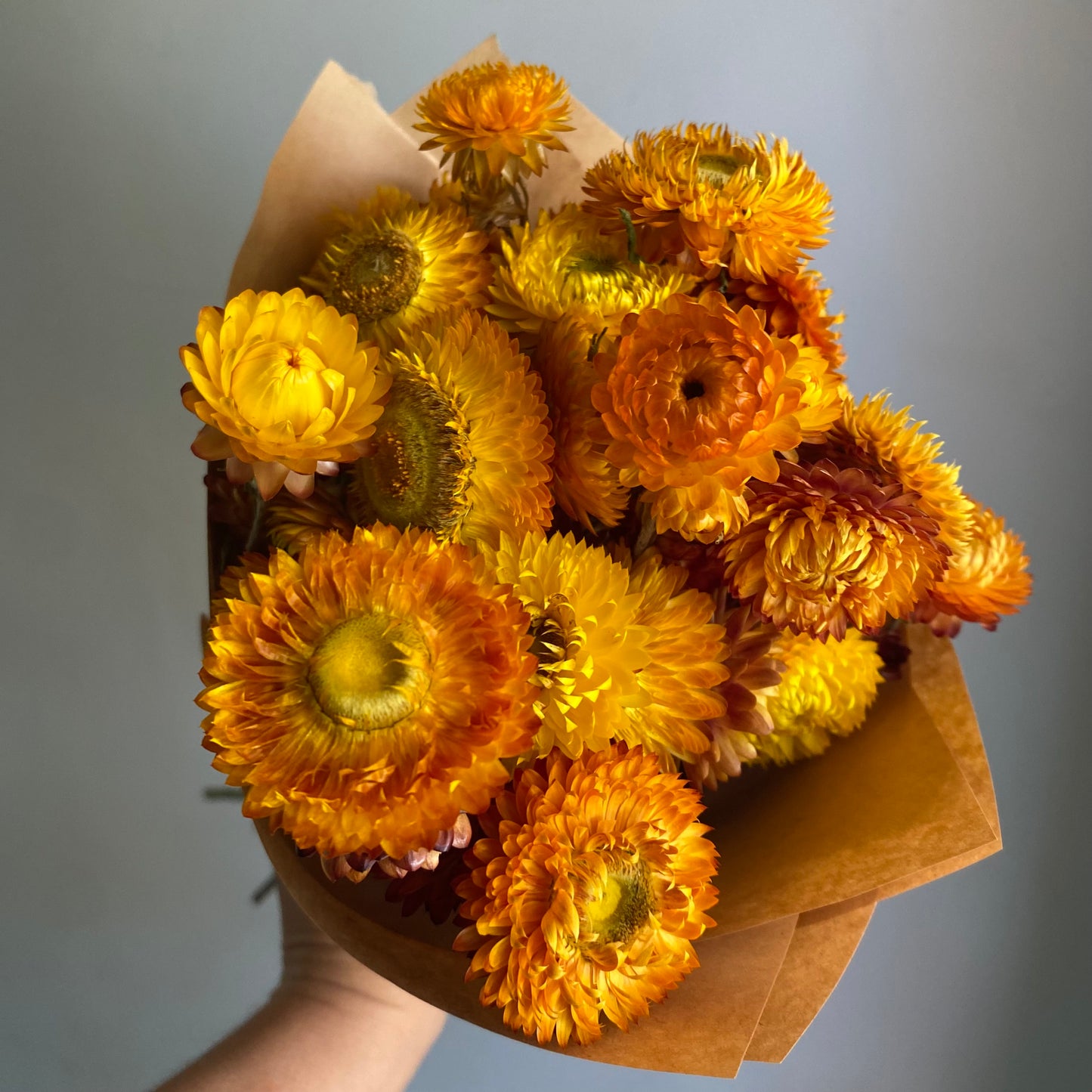 Golden Yellow Strawflower Bouquet