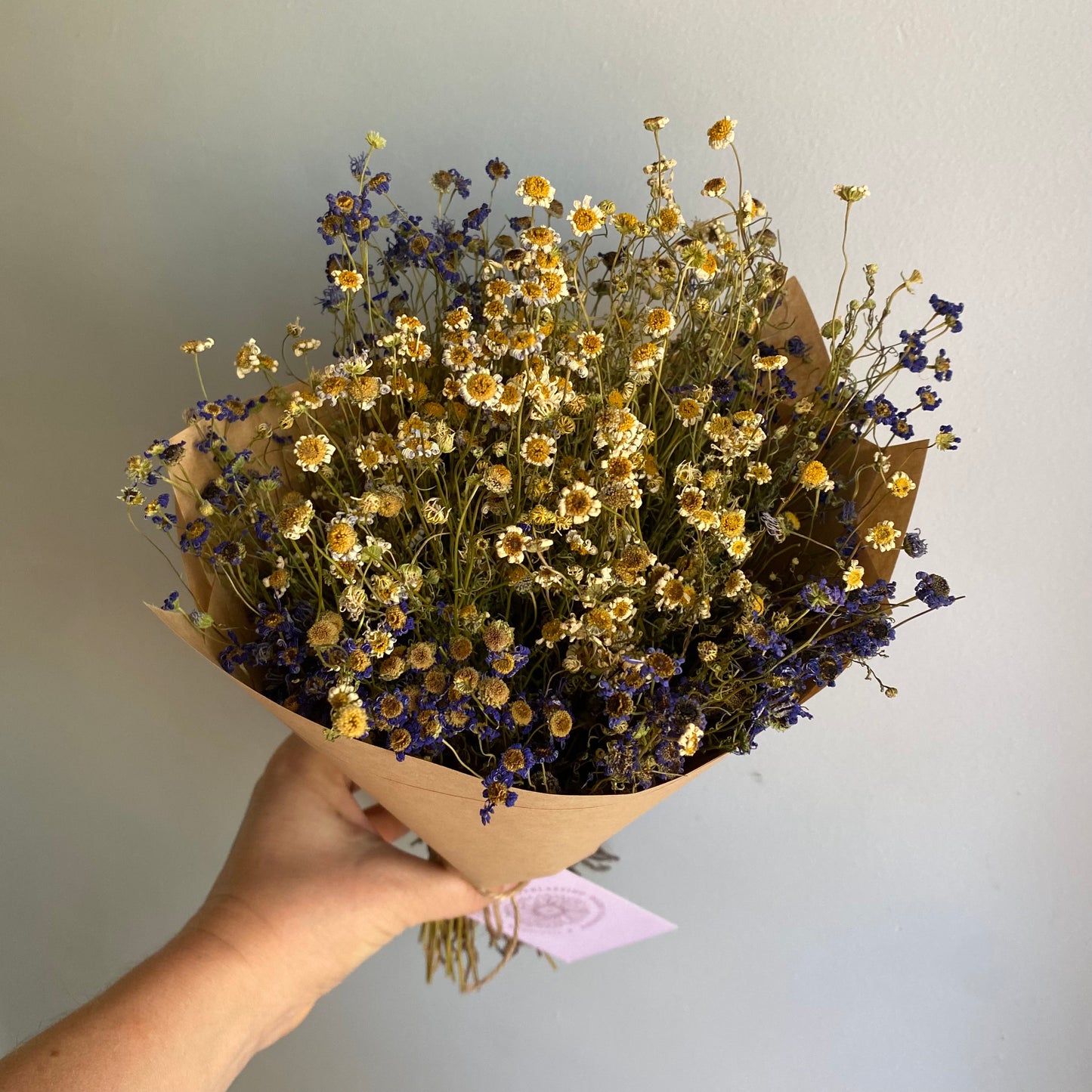 Swan River Daisy Bouquet
