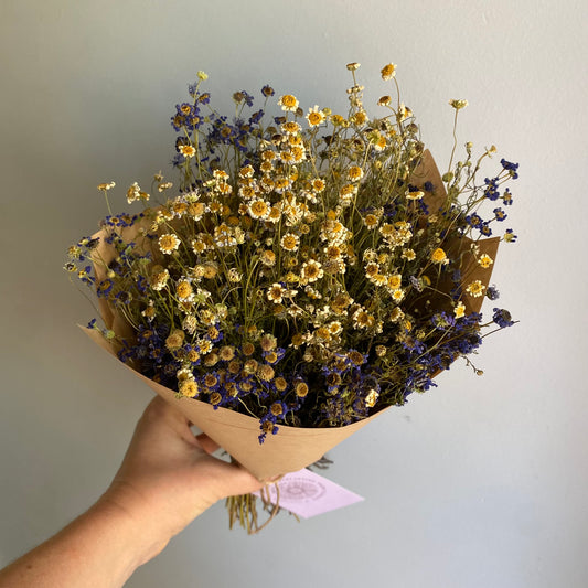 Swan River Daisy Bouquet
