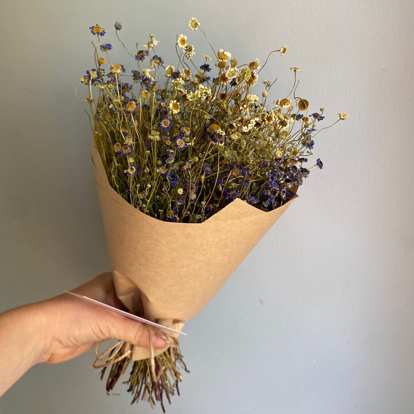 Swan River Daisy Bouquet