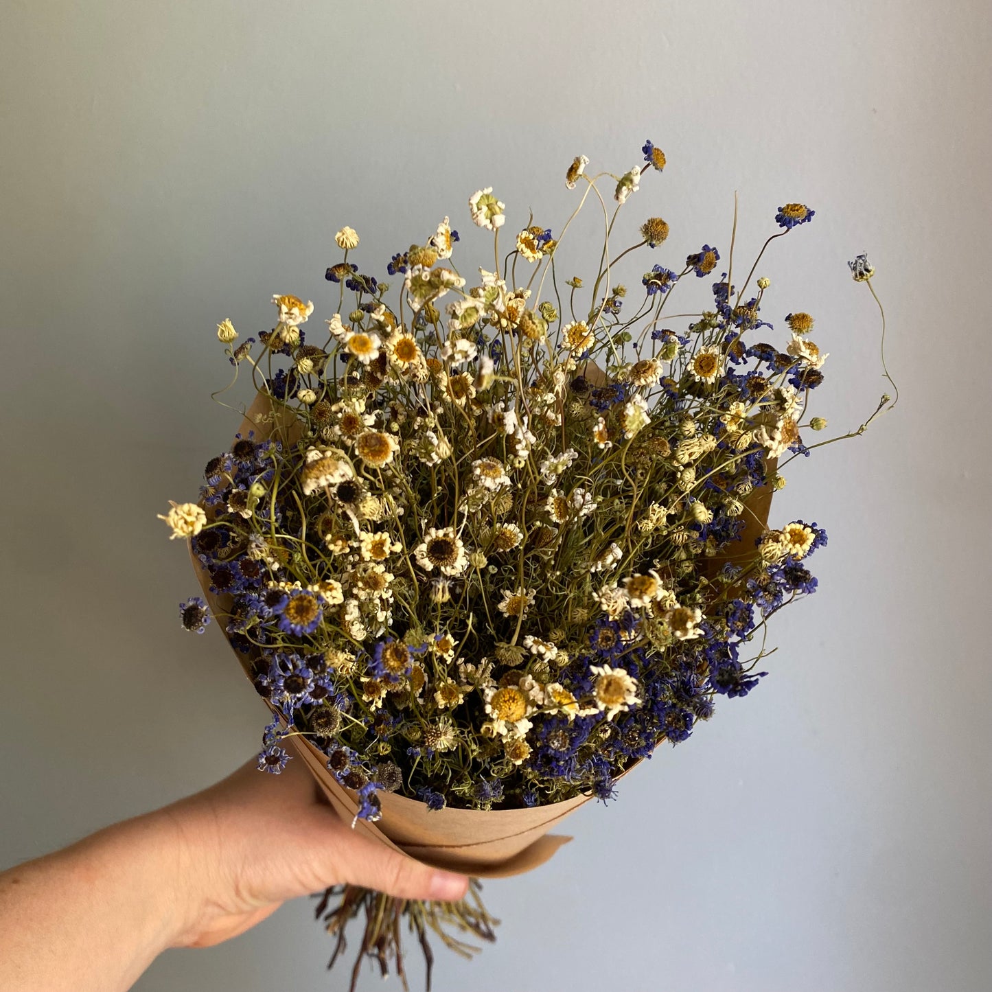 Swan River Daisy Bouquet