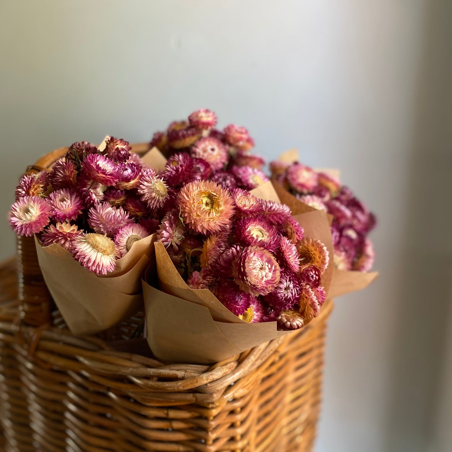 Pink Strawflower Bouquet
