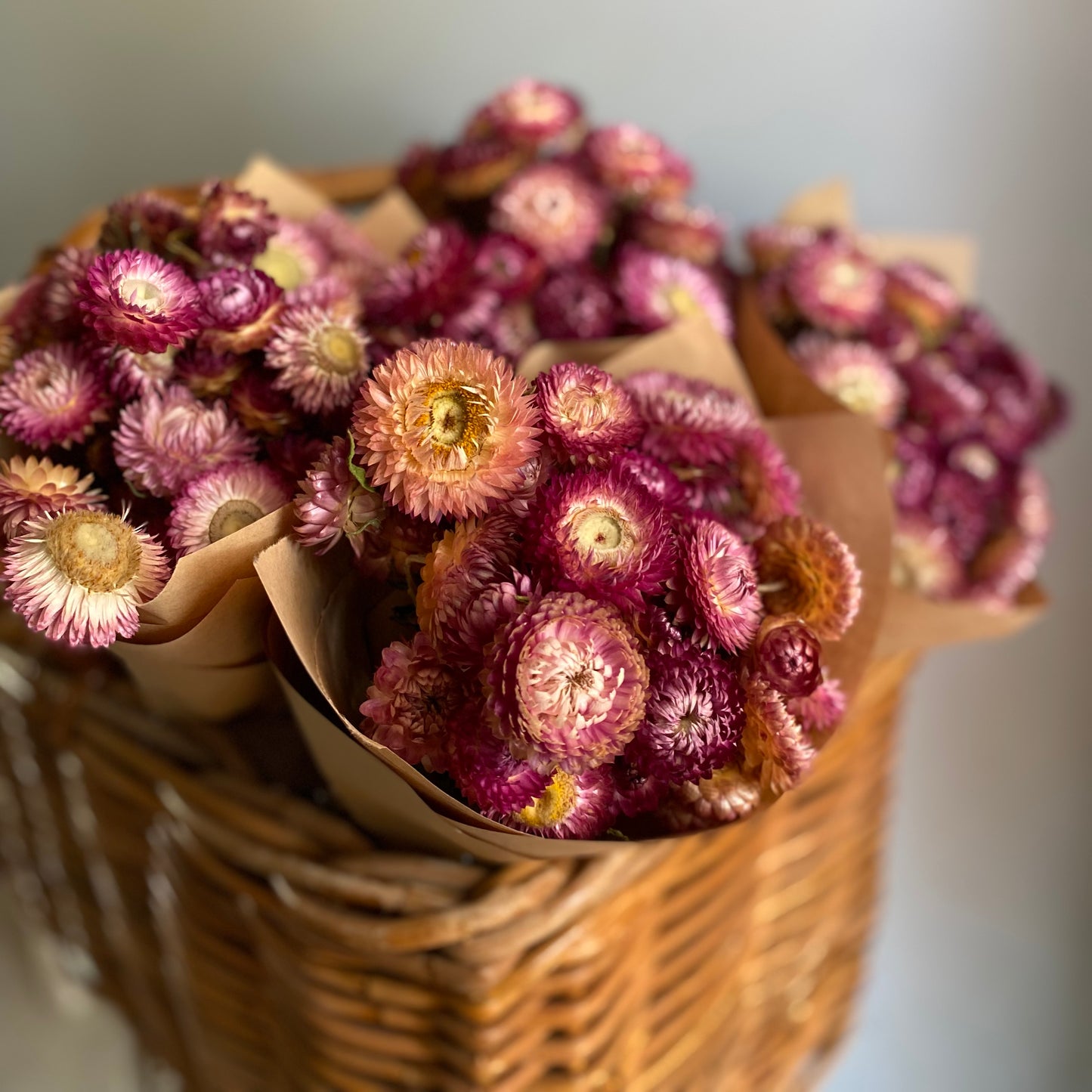 Pink Strawflower Bouquet