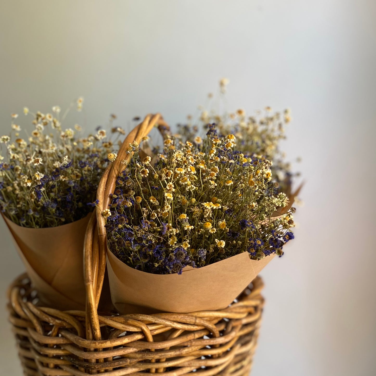 Swan River Daisy Bouquet