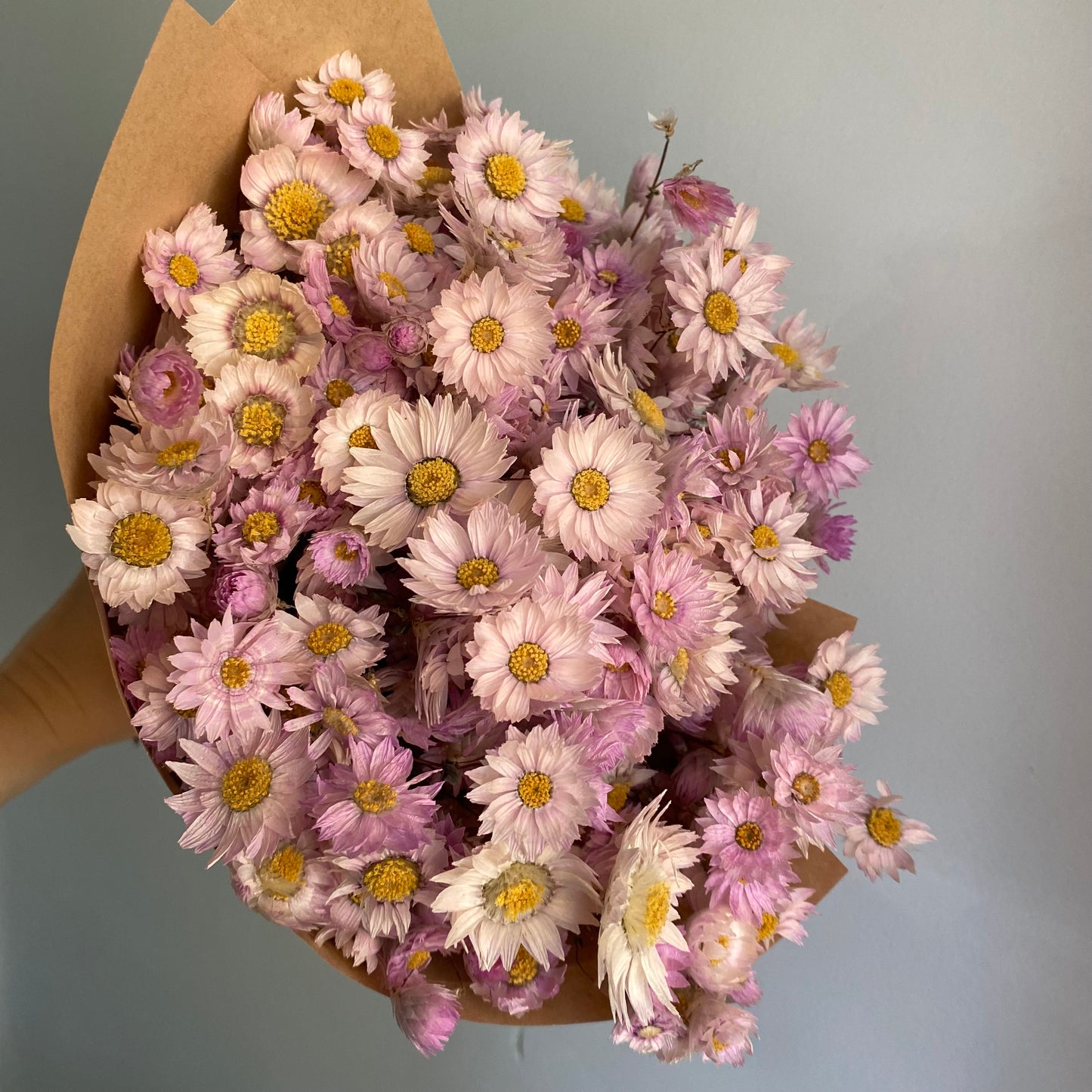 Soft Pink Silver Bell Bouquet
