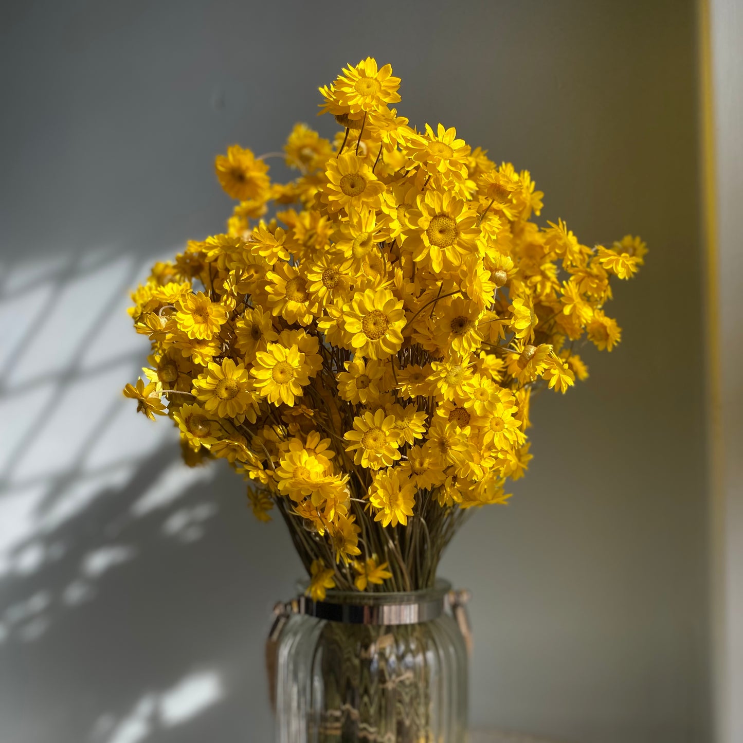 Golden Everlasting Daisy Bouquet