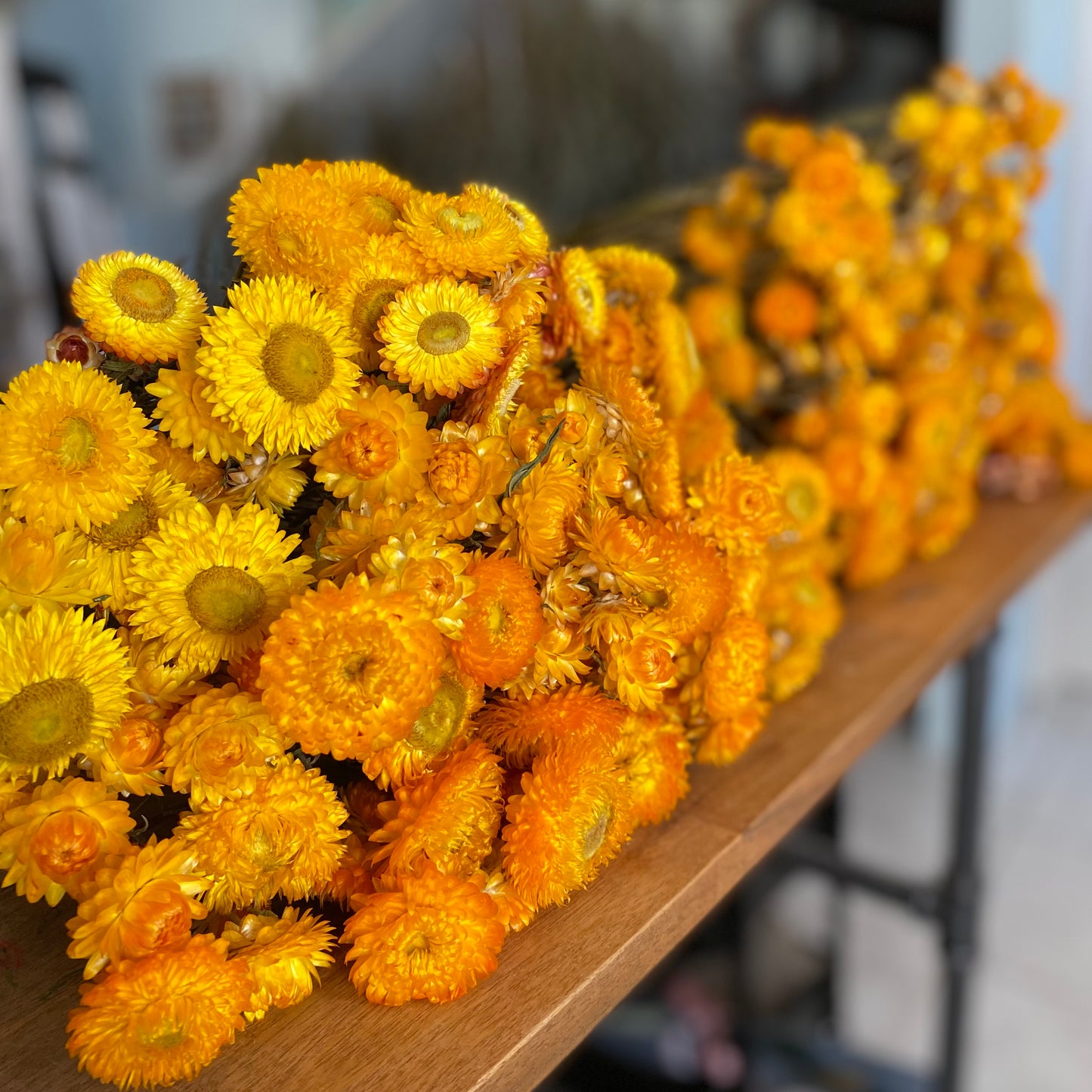 Golden Yellow Strawflower Bouquet