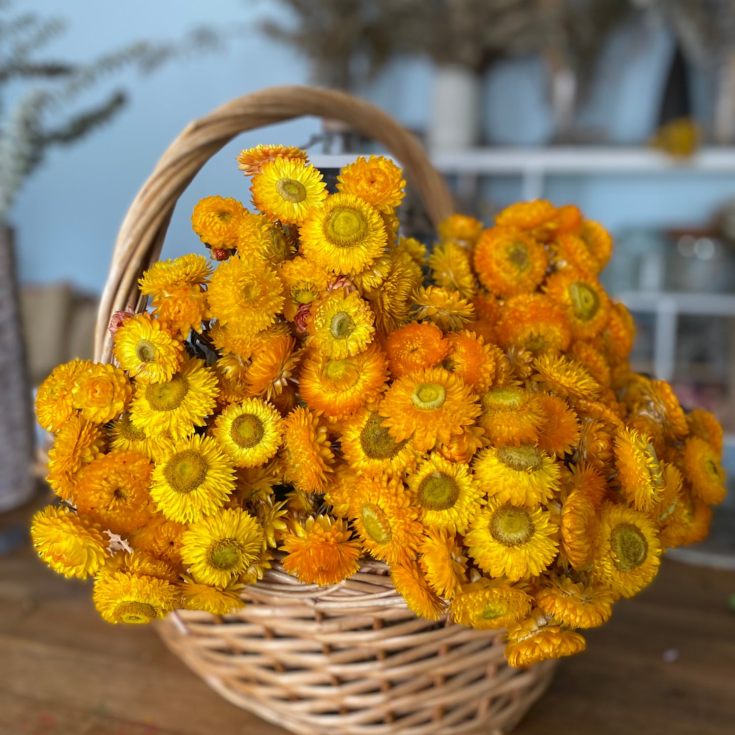Golden Yellow Strawflower Bouquet