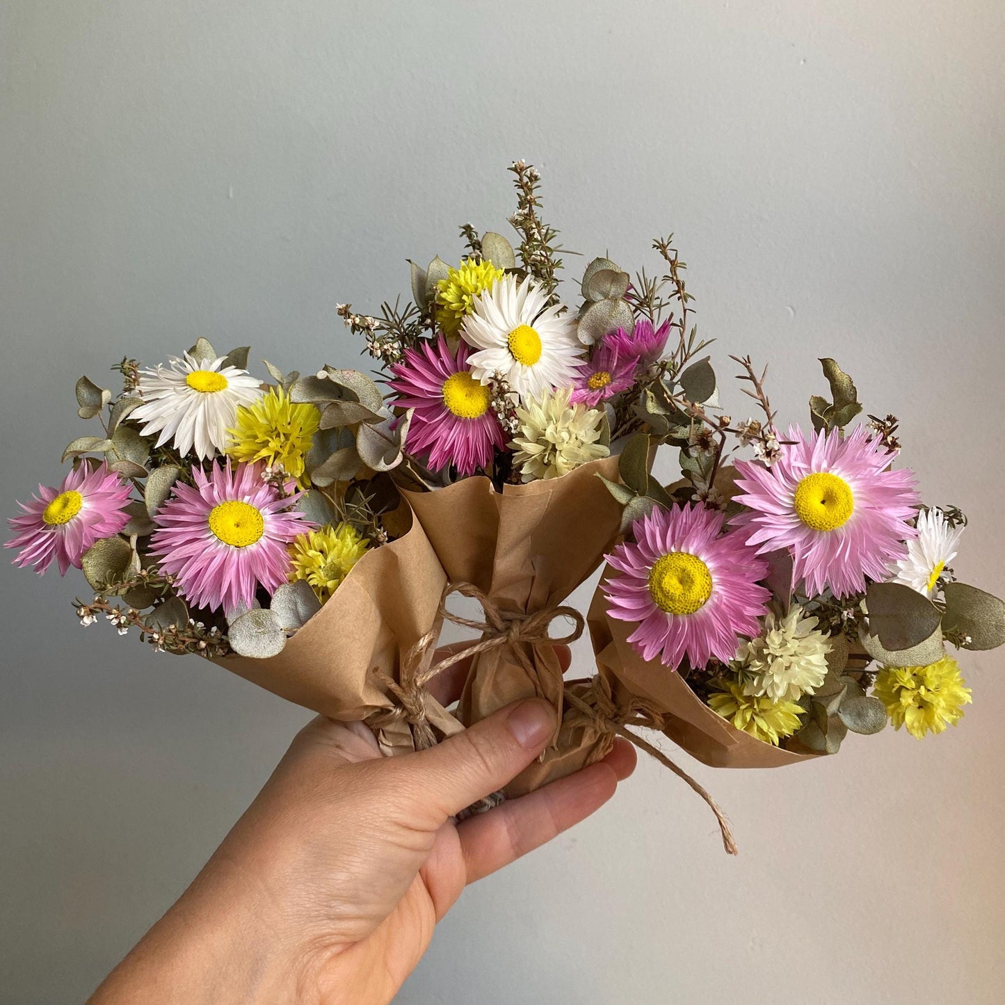 Everlasting Daisy Bouquet - Mini